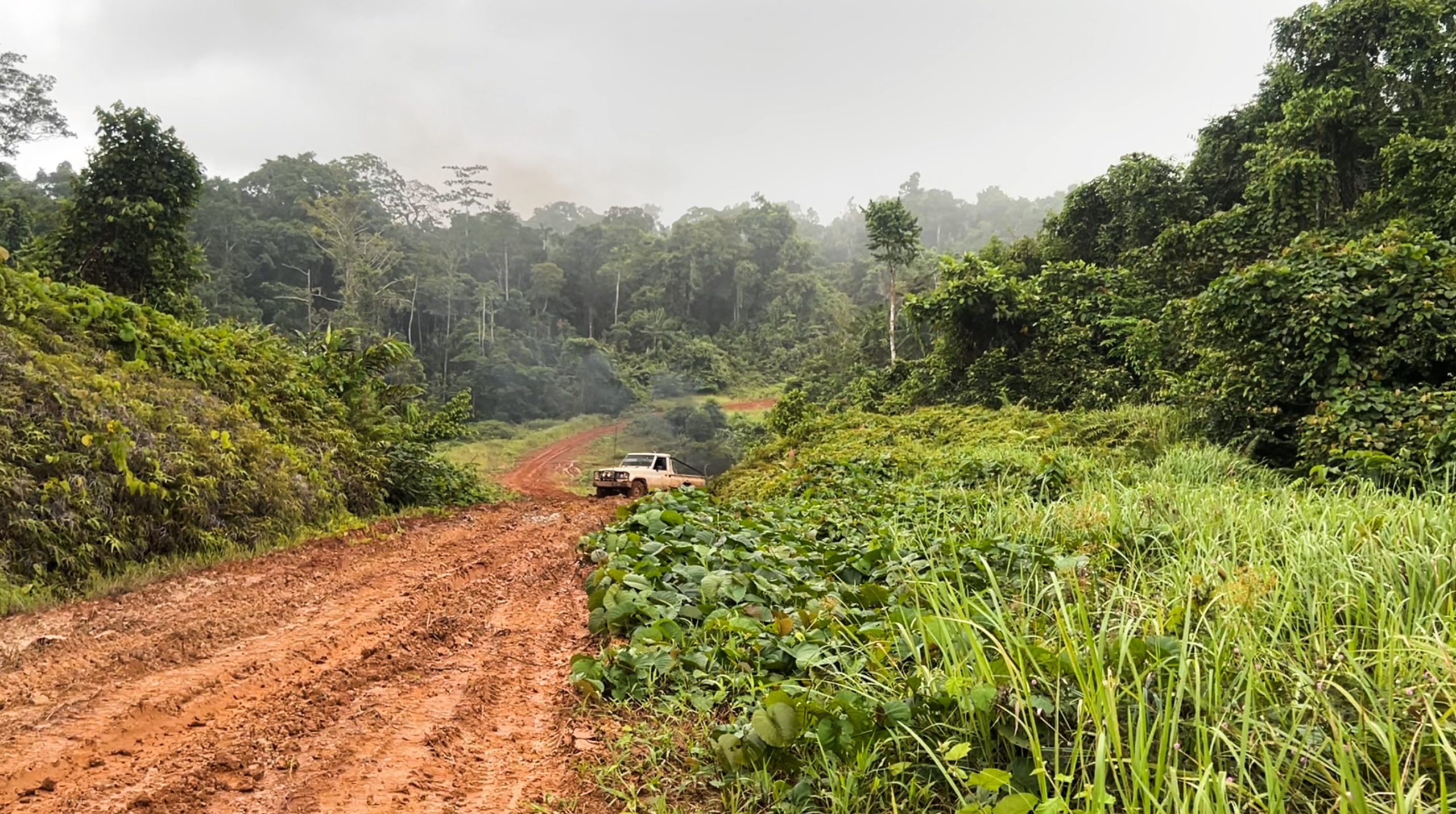 A truck struggles to drive through the mud on a jungle logging road connecting Mubami villages.